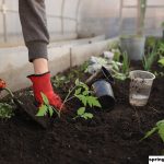 10 Hal Yang Perlu Diketahui Setiap Tukang Kebun Baru
